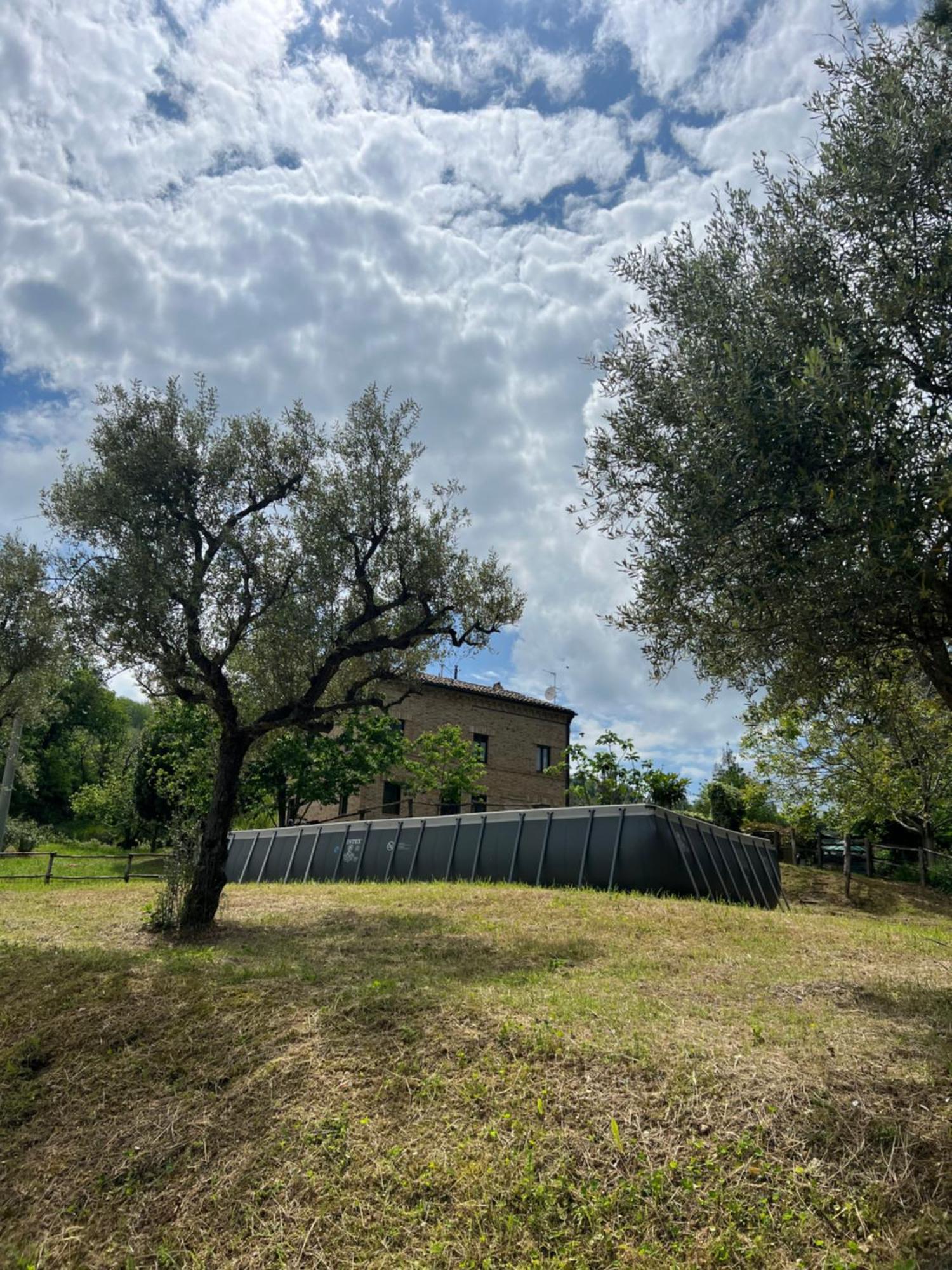 Tenuta Gran Bosco Loro Piceno Exteriér fotografie