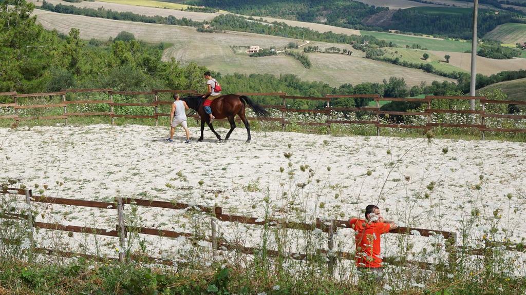 Tenuta Gran Bosco Loro Piceno Exteriér fotografie