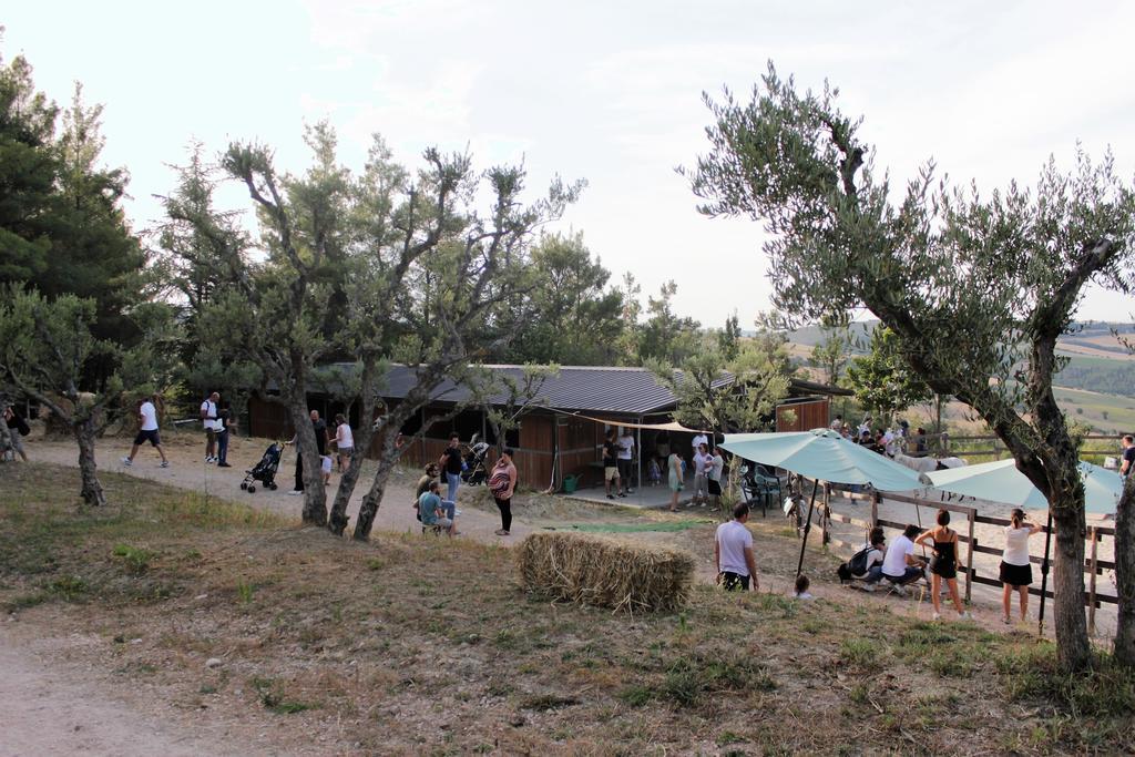 Tenuta Gran Bosco Loro Piceno Exteriér fotografie