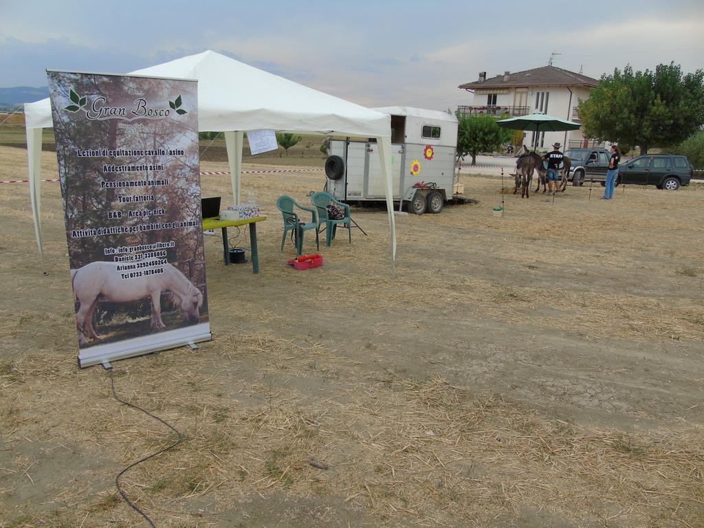 Tenuta Gran Bosco Loro Piceno Exteriér fotografie