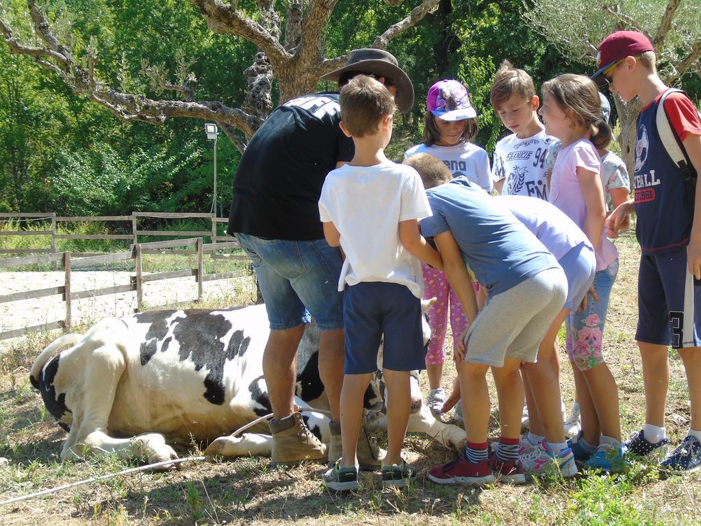 Tenuta Gran Bosco Loro Piceno Exteriér fotografie