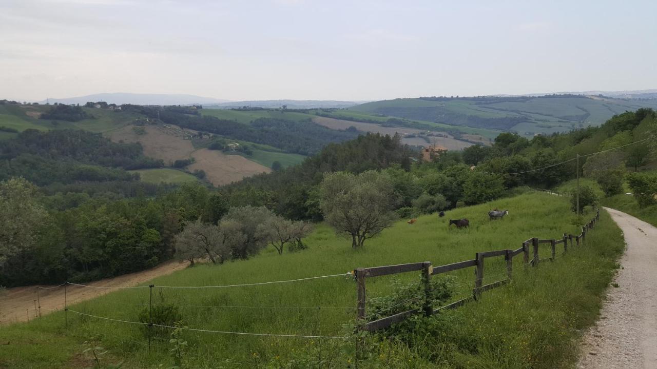 Tenuta Gran Bosco Loro Piceno Exteriér fotografie